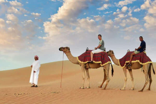 Desert Safari: The Magical Ride