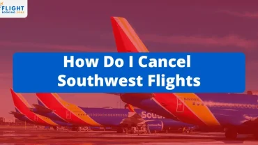 Southwest Flights